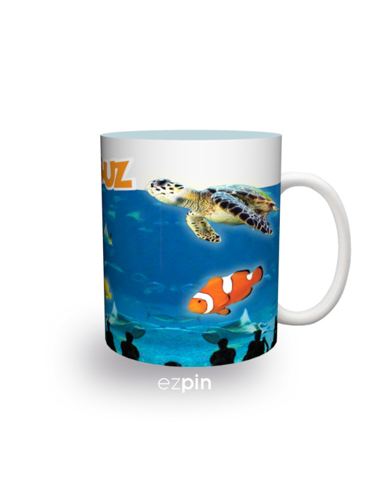 Veracruz Acuario Veracruz Acuario